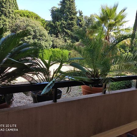 ניס Residence Les Palmiers מראה חיצוני תמונה