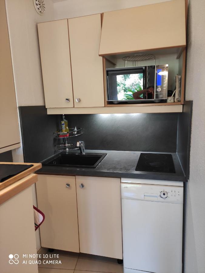 ניס Residence Les Palmiers מראה חיצוני תמונה